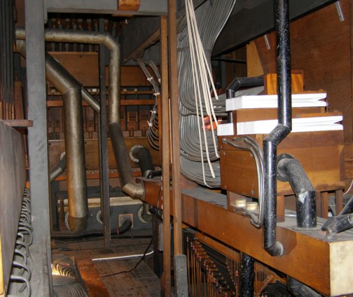 organ chamber